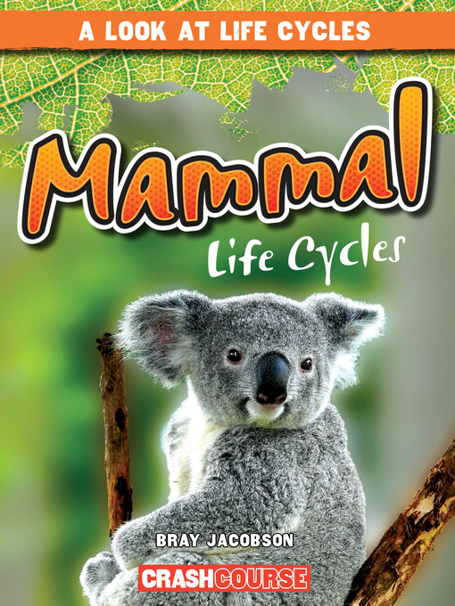 Title details for Mammal Life Cycles by Bray Jacobson - Available